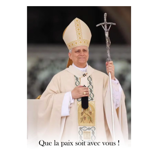 Poster – Pape Léon XIV en Blanc