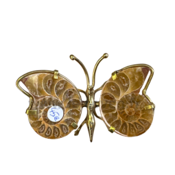 Mini Papillon Ammonite