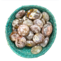 Agate Fleur de Cerisier – Pierre Roulée