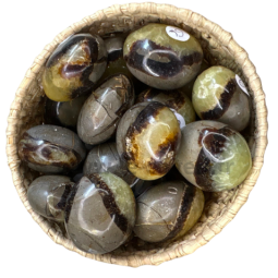 Septaria – Pierre Roulée