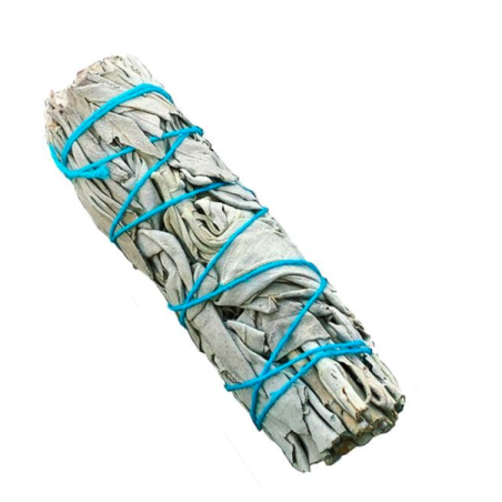 Sauge Blanche de Californie