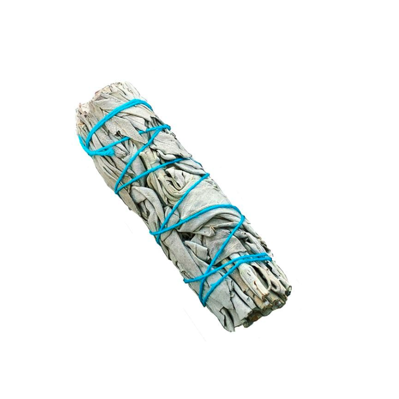 Sauge Blanche de Californie