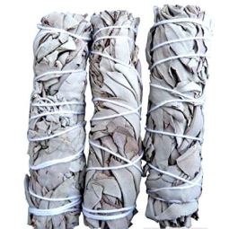 Sauge blanche Californie fagot 15-20g 10cm