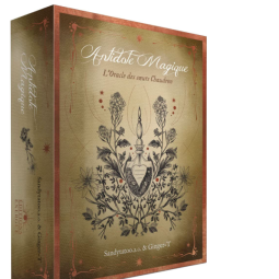 Antidote magique - L'Oracle des soeurs Chaudron